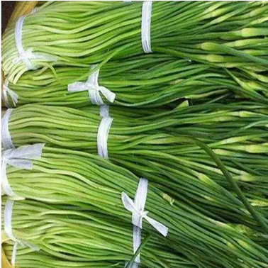 新蒜苗/新蒜苔