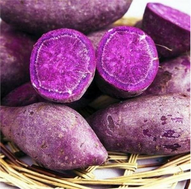 紫薯